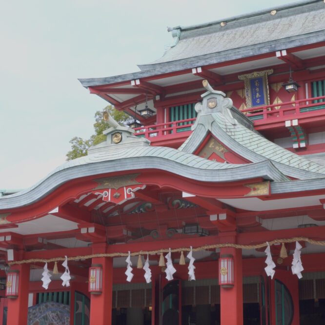 都内神社で七五三ムービー撮影