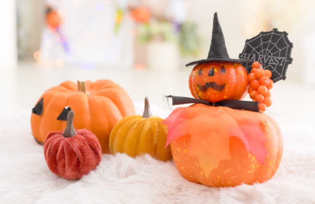 東京都内出張撮影/プロカメラマン日浦香織くまちゃんカメラ | kumachancamera　家族写真/プロフィール写真/マタニティフォト/ニューボーンフォト/七五三/お誕生日撮影 ママを主役にする写真撮影 | 都内スタジオで２歳バースデームービー撮影