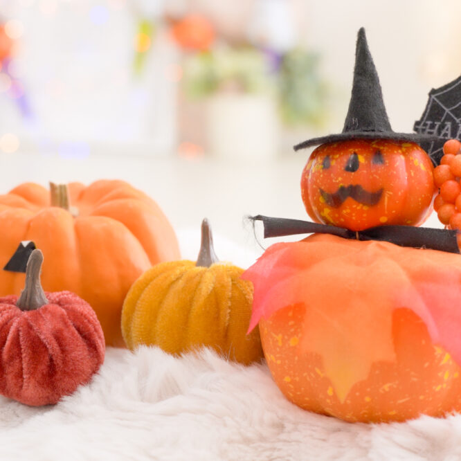 都内スタジオで２歳バースデームービー撮影