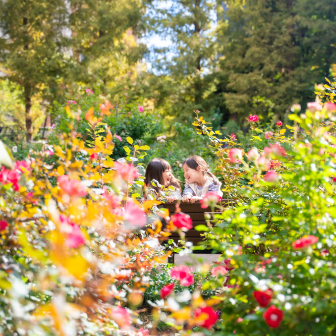 都内の公園で写活兼実践講座