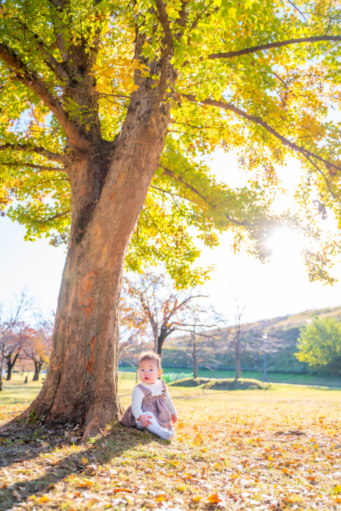 東京都内出張撮影/プロカメラマン日浦香織くまちゃんカメラ | kumachancamera　家族写真/プロフィール写真/マタニティフォト/ニューボーンフォト/七五三/お誕生日撮影 ママを主役にする写真撮影 | 紅葉撮影