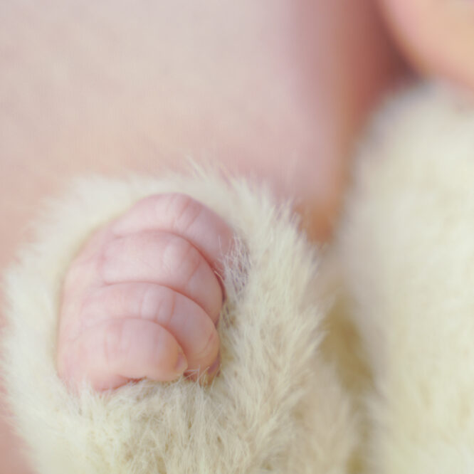 都内のスタジオでニューボーン撮影