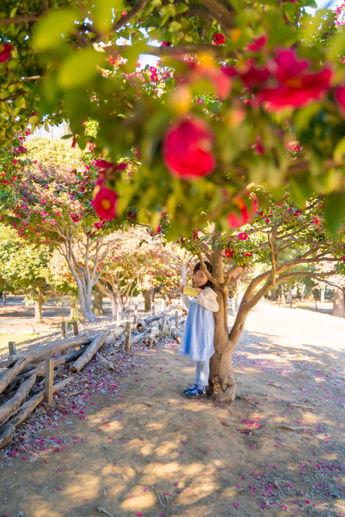 東京都内出張撮影/プロカメラマン日浦香織くまちゃんカメラ | kumachancamera 家族写真/プロフィール写真/マタニティフォト/ニューボーンフォト/七五三/お誕生日撮影 ママを主役にする写真撮影 | 都内の公園でバレンタイン撮影 東京都内出張撮影/プロカメラマン日浦香織くまちゃんカメラ | kumachancamera 家族写真/プロフィール写真/マタニティフォト/ニューボーンフォト/七五三/お誕生日撮影 ママを主役にする写真撮影 | 都内の公園でバレンタイン撮影