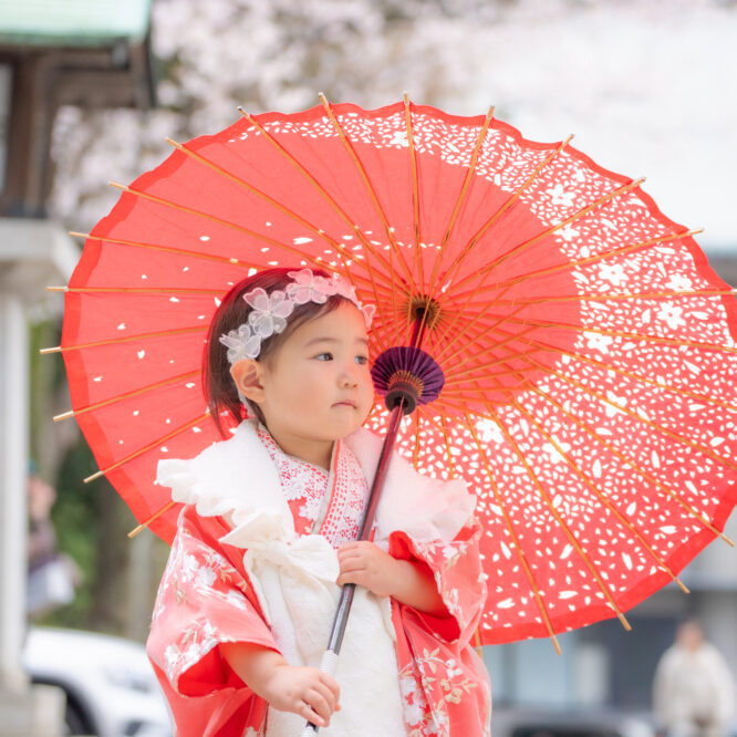 都内で桜×七五三撮影