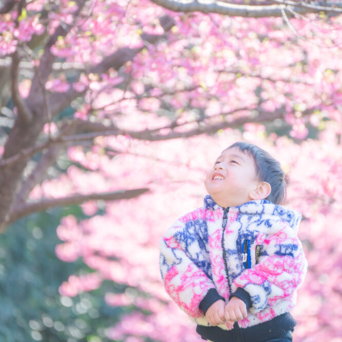 都内の公園で桜撮影