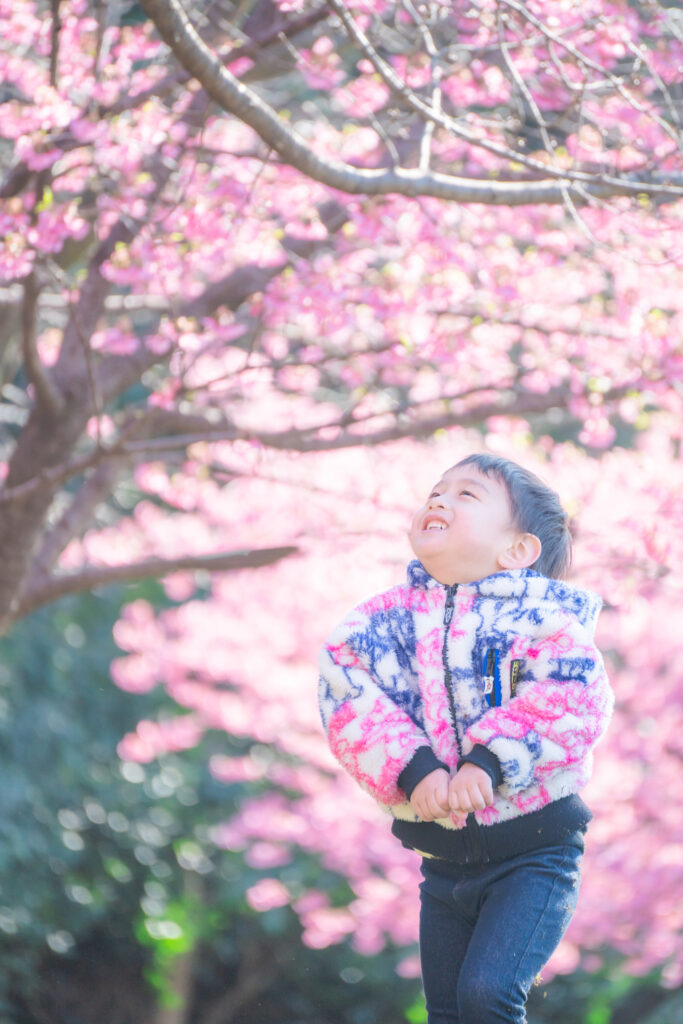 東京都内出張撮影/プロカメラマン日浦香織くまちゃんカメラ | kumachancamera　家族写真/プロフィール写真/マタニティフォト/ニューボーンフォト/七五三/お誕生日撮影 ママを主役にする写真撮影 | 都内の公園で桜撮影