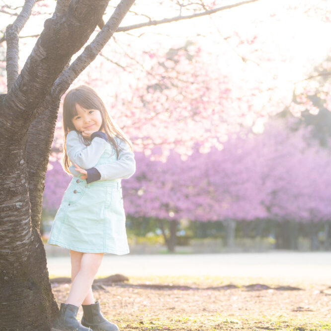 都内公園で桜撮影