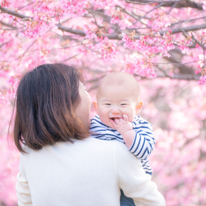 都内の公園で桜撮影