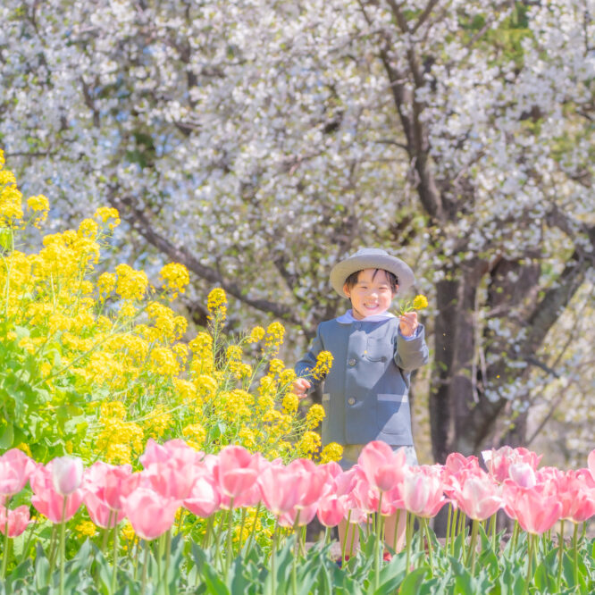 埼玉の公園で桜×制服